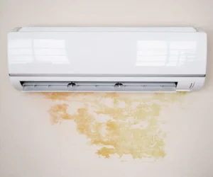 Does Air Conditioning Remove Humidity from Every Room?