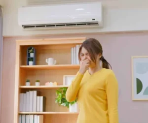 Why Does My Air Conditioner Smell? Find the Cause