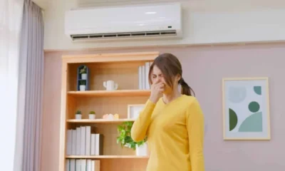 Why Does My Air Conditioner Smell? Find the Cause